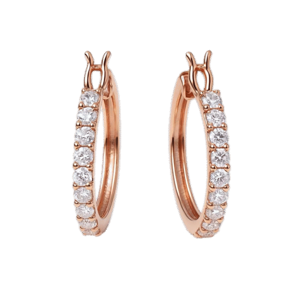 Hoop Earrings